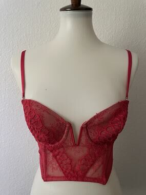 Victoria's Secret Bra Corset Bustier Floral Lace Mesh Romantic Coquette Lingerie